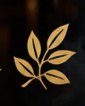 Global Spoon Web